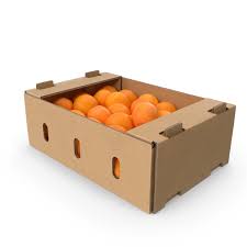 Oranges (+/- 15kg)